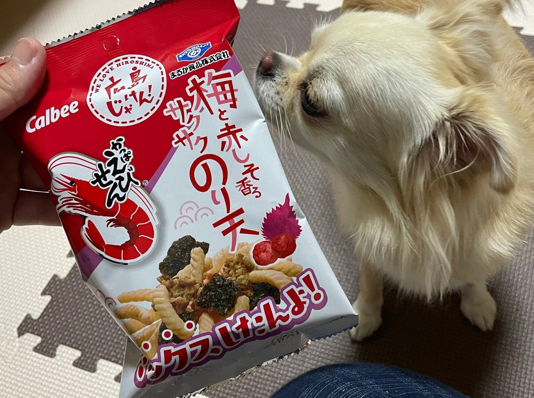 かっぱえびせん 梅と赤しそ香るサクサクのり天