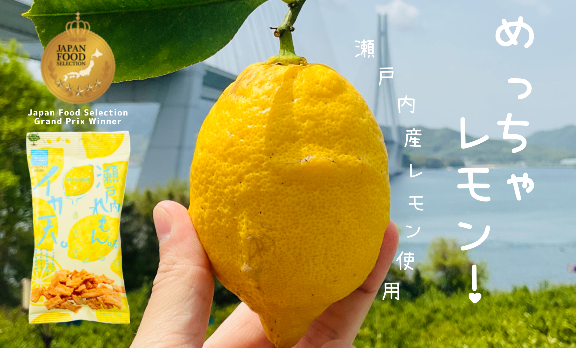 イカ天瀬戸内レモン味 コーナー【 イカ天 お菓子、イカ天 おつまみ