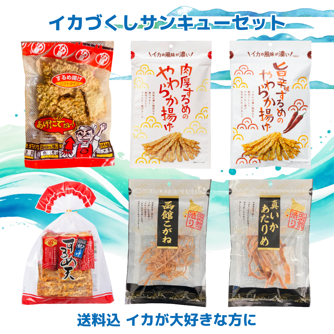 【 送料込 】🦑イカづくしサンキューセット