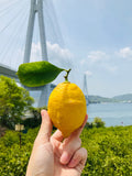 広島じゃけん