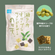 瀬戸内オリーブ＆ワインビネガー味のり天54g