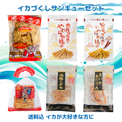 【 送料込 】🦑イカづくしサンキューセット