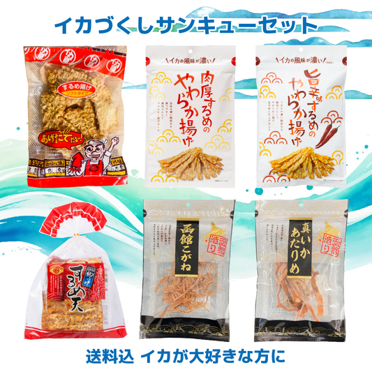 【 送料込 】🦑イカづくしサンキューセット