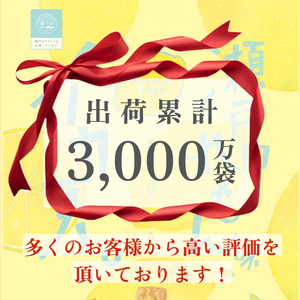 イカ天瀬戸内れもん味　65g　☆10周年リニューアル☆