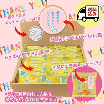 【送料込】ありがとうございます。イカ天瀬戸内れもん味  小袋８g×30袋入
